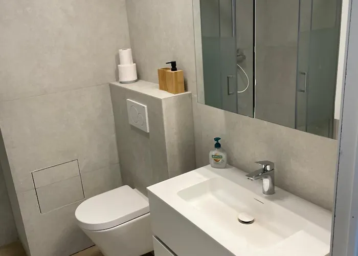 Appartement Met Frontaal Zeezicht En Afgesloten Slaaphoek De Panne