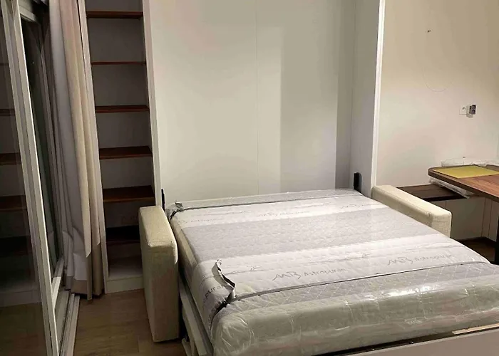 Met Frontaal Zeezicht En Afgesloten Slaaphoek Appartement