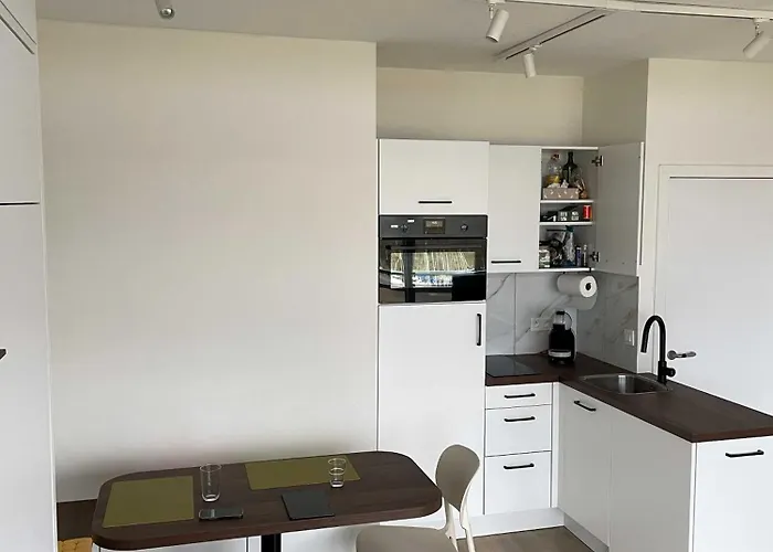 Met Frontaal Zeezicht En Afgesloten Slaaphoek Appartement *